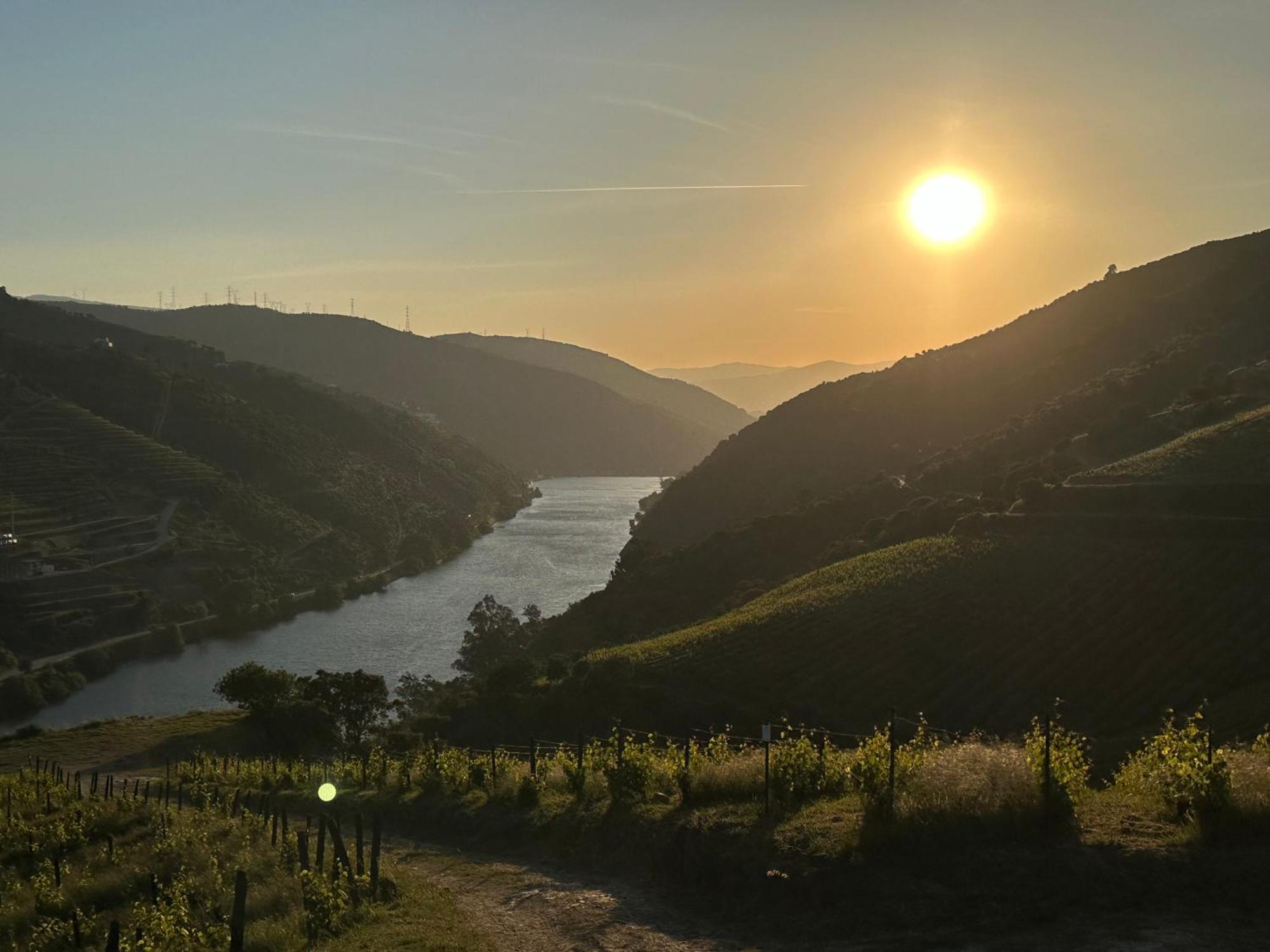 Pmdourovalley Пезу-да-Регуа Экстерьер фото