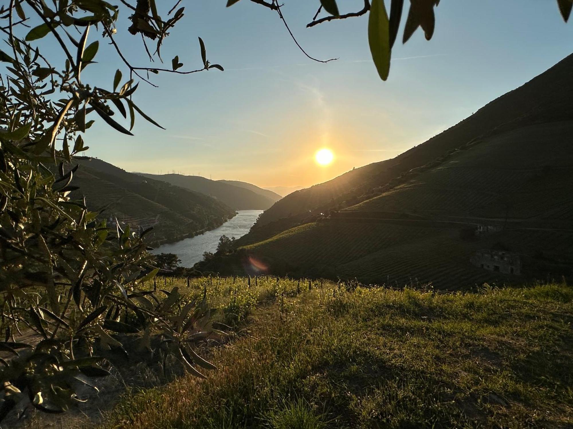 Pmdourovalley Пезу-да-Регуа Экстерьер фото